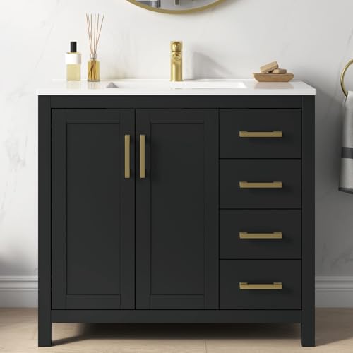 DELUXE LIVING DELUXE LIVING 36 Inch Bathroom Vanity with Sink, Black S — Controls and everyday operation